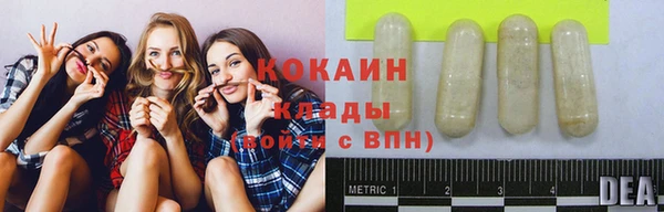 кокс Сосновый Бор