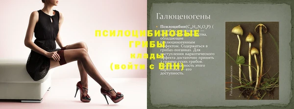 дживик Белоозёрский