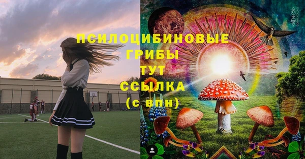 дживик Белоозёрский